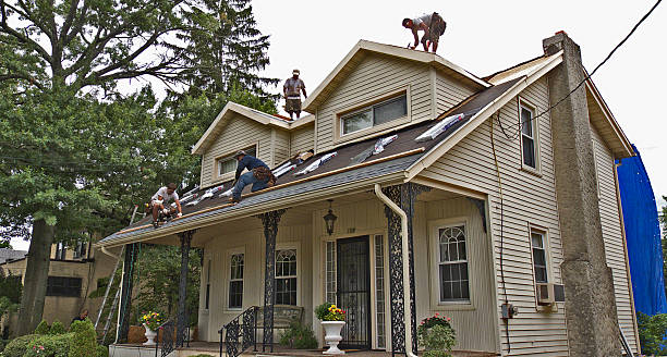 Best Roof Gutter Cleaning  in Elim, PA